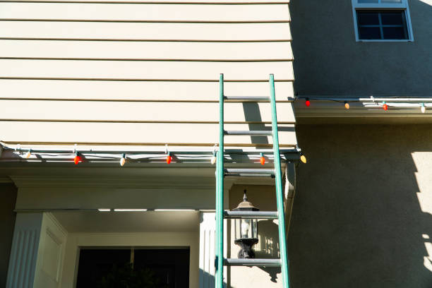 Best Custom Trim and Detailing for Siding  in Chicago Ridge, IL